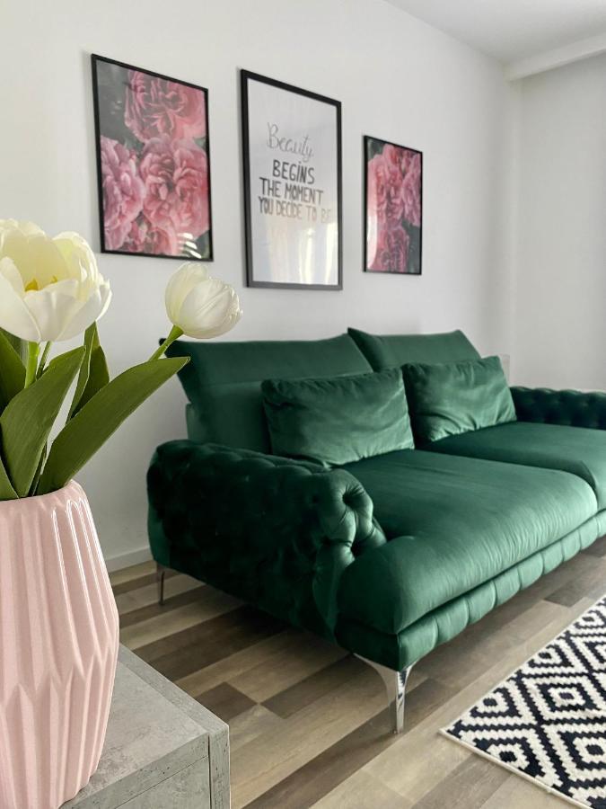 Velvet Studio Targu Mures Luaran gambar